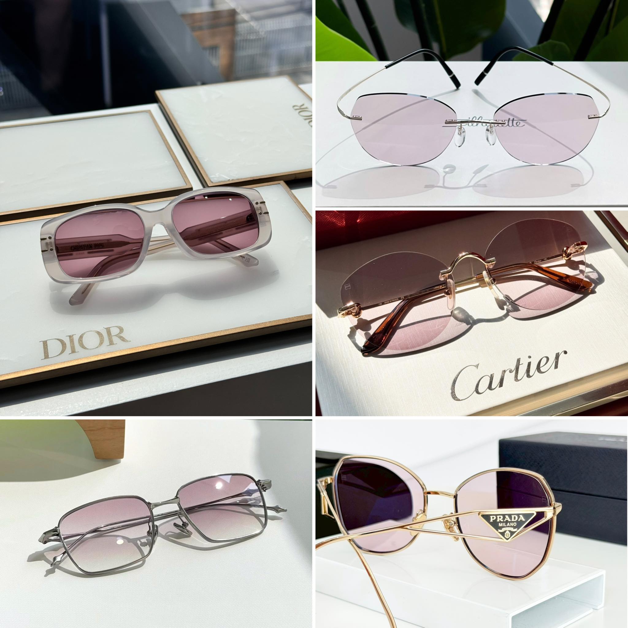 ศิลปะแห่งสีสันและสายตา: ทำไม Burgundy Tint ถึงเป็นเลนส์ย้อมสีอันดับ 1 ที่ศุภฤกษ์ วิชชั่น
